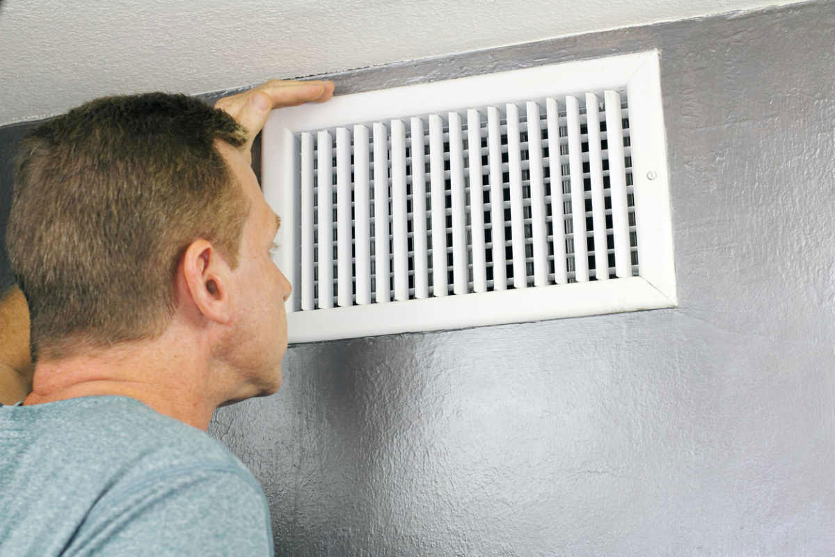 Indoor air quality monitoring and purification